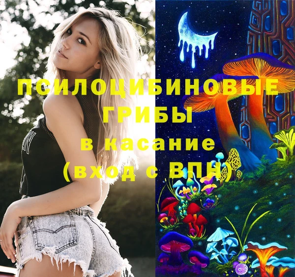спайс Верея