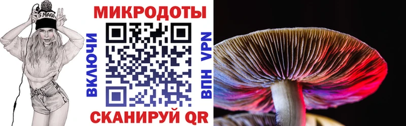Псилоцибиновые грибы MAGIC MUSHROOMS  Верхний Уфалей 